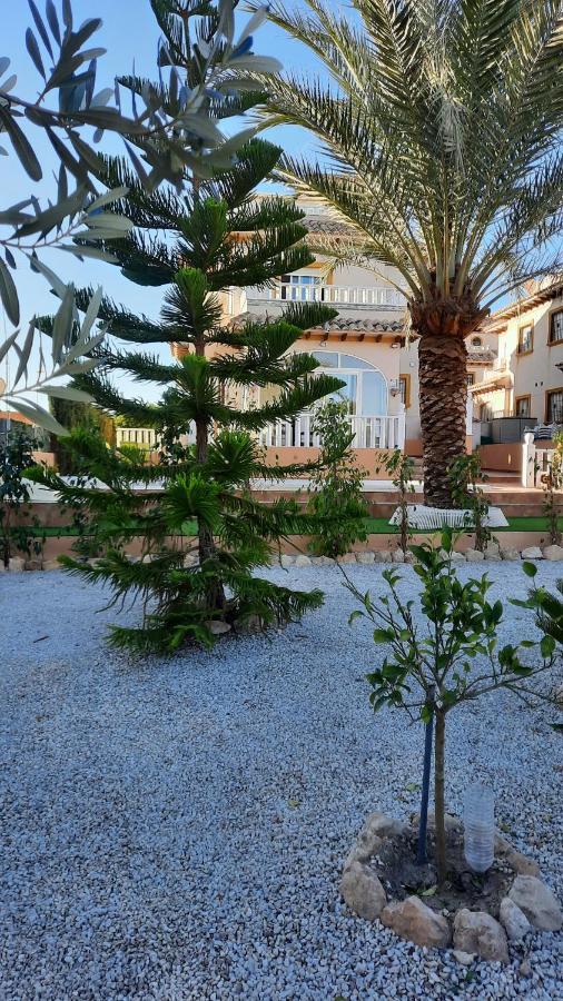 Los Dolses Don Juan,villa avec piscine privée Oriola  Exterior foto